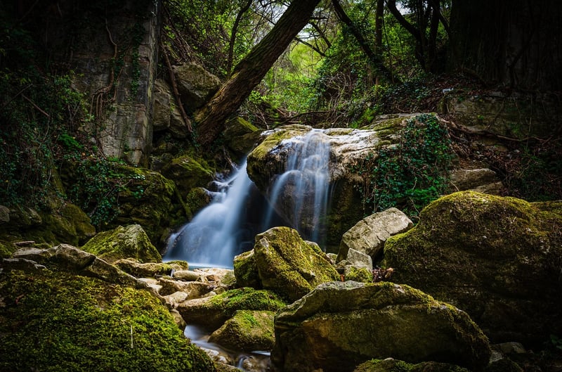 Waterfall in a forest